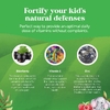 Nature's Craft, детские жевательные таблетки с бузиной, со вкусом малины, 90 жевательных таблеток