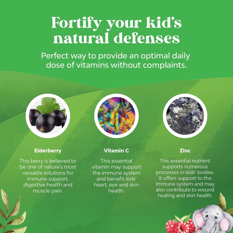 Nature's Craft, детские жевательные таблетки с бузиной, со вкусом малины, 90 жевательных таблеток (Товар снят с продажи) 