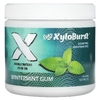Xyloburst, ксилитол, жевательная камедь, зимняя мята, 100 шт., 150 г (5,29 унции)