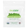 XyliDENT, Xylicew®, натуральная мята, 50 шт.
