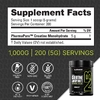 NutraBio, Performance, микронизированный моногидрат креатина, 1000 г (35,3 унции)