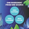 Cederberg Tea Co, Organic Spearmint, без кофеина, 100 натуральных чайных пакетиков, 140 г (4,94 унции)