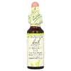 Bach, Original Flower Remedies, бутоны каштана, 10 мл (0,35 жидк. унции)