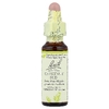 Bach, Original Flower Remedies, бутоны каштана, 10 мл (0,35 жидк. унции)