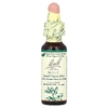 Bach, Original Flower Remedies, падуб, 10 мл (0,35 жидк. унции)