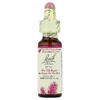 Bach, Original Flower Remedies, сосна, 10 мл (0,35 жидк. унции) (Товар снят с продажи) 