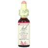 Bach, Original Flower Remedies, сладкий каштан, 10 мл (0,35 жидк. унции)