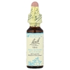 Bach, Original Flower Remedies, лоза, 10 мл (0,35 жидк. унции)
