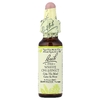 Bach, Original Flower Remedies, смесь белых каштанов, 10 мл (0,35 жидк. унции)