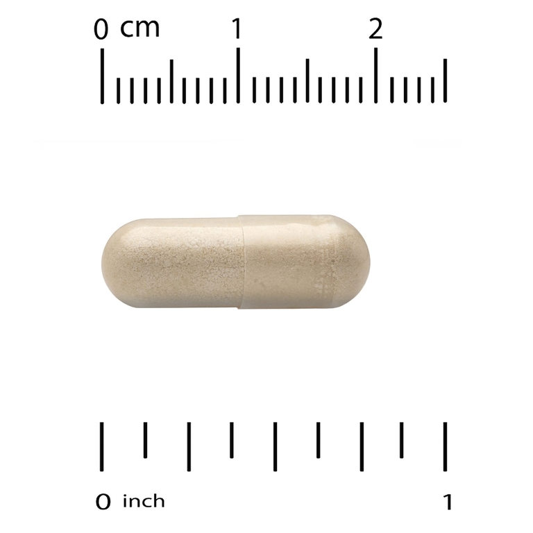 NOW Foods, экстракт расторопши, 300 мг, 200 вегетарианских капсул