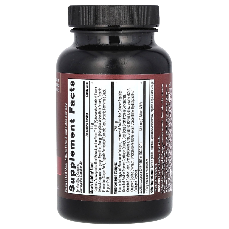 Ancient Nutrition, Multi Collagen Advanced, улучшенный коллаген для мышц, 90 капсул