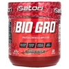 Isatori, Bio-Gro, усилитель синтеза протеина, со вкусом шоколадного мороженого, 146 г (5,15 унции)