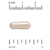 California Gold Nutrition, Akkermansia 30B, аккермансия, 30 вегетарианских капсул (150 мг в 1 капсуле)