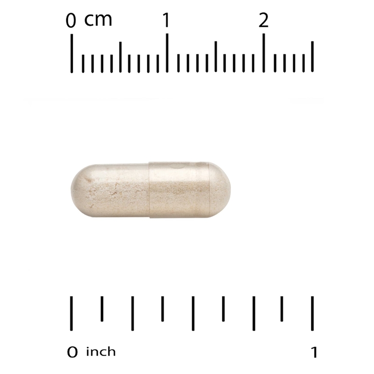 California Gold Nutrition, Akkermansia 30B, аккермансия, 30 вегетарианских капсул (150 мг в 1 капсуле)