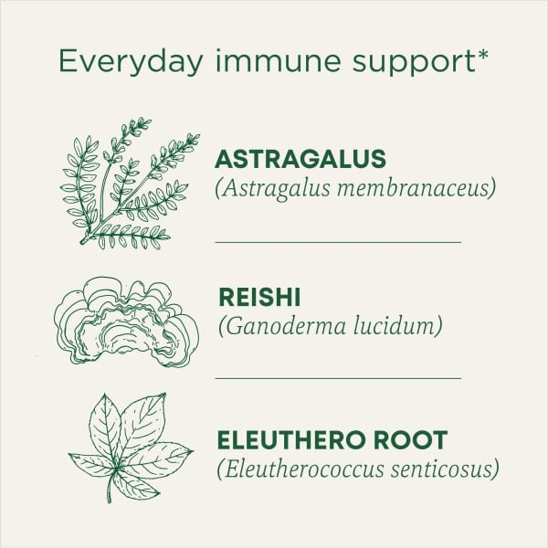 Traditional Medicinals, Organic Stress Ease® Immune, согревающая приправа с грибами рейши, без кофеина, 16 чайных пакетиков в упаковке, 28 г (0,99 унции)
