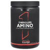 Rule One Proteins, Energized Amino, фруктовый пунш, 270 г (9,52 унции) (Товар снят с продажи) 