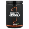 Rule One Proteins, Essential Amino 9, вишневая лайм, 345 г