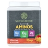 Sunwarrior, Активные аминосы, манго, 570 г (1,25 фунта)