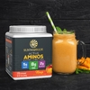 Sunwarrior, Активные аминосы, манго, 570 г (1,25 фунта)
