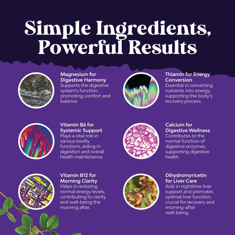 Nature's Craft, Hang-12™ для поддержки после выпитого напитка, 60 капсул