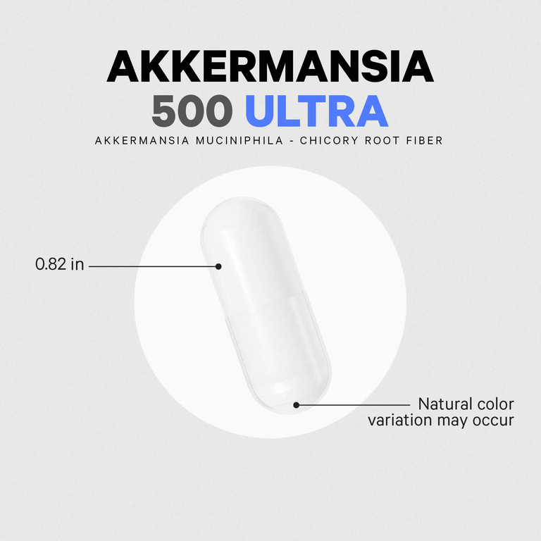 Codeage, Akkermansia 500 Ultra, аккермансия, 90 растительных капсул