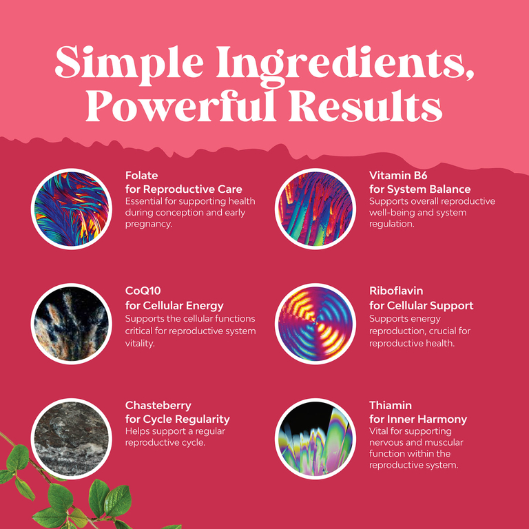 Nature's Craft, Women's Wellness, добавка для поддержки женской фертильности с фолатом, коэнзимом Q10 и витексом священным от Women, 120 капсул