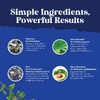 Nature's Craft, Пальма для мужчин, 60 капсул