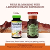 Herbs Etc., ImmunoBoost ™, 60 мягких таблеток