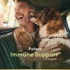 Nature's Bounty, Кверцетин с Ester-C®, 60 капсул (Товар снят с продажи) 