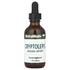 NutraMedix, Cryptolepis, поддержка микроорганизмов, 60 мл (2 жидк. Унции)