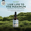 Maxi Health, KiddieMax® Liquid B-Complex ™, натуральные ягоды, 59 мл (2 жидк. Унции)