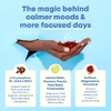 JoySpring, Mood Magic, фруктовый пунш, 25 пакетиков по 7,7 г