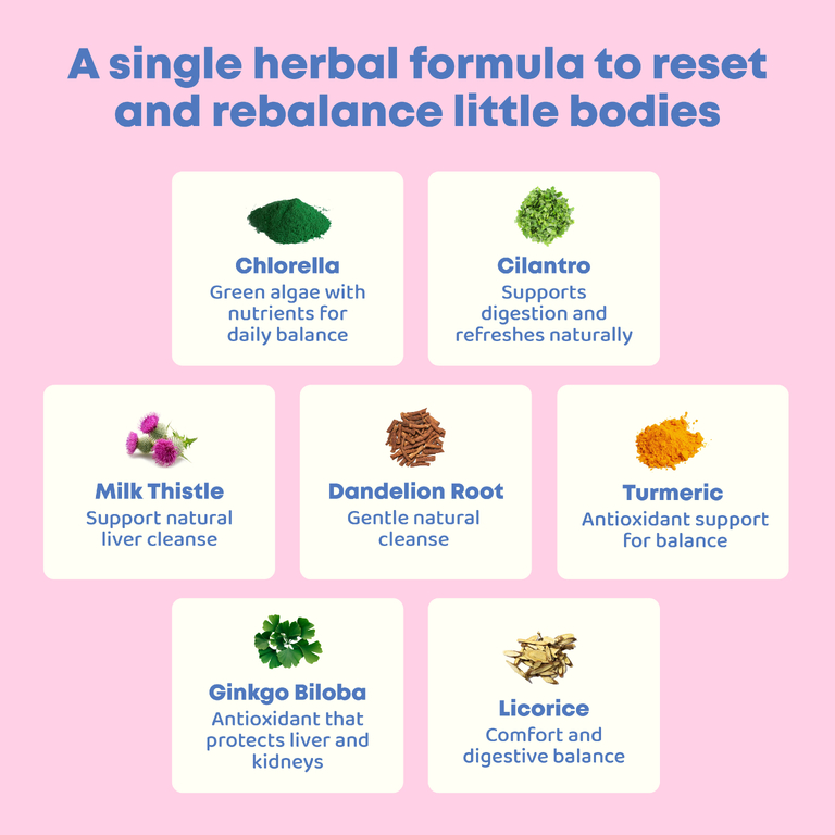 JoySpring, DetoxZee Herbal, 30 мл (1 жидк. Унция)