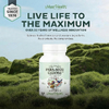 Maxi Health, Para-Maxi Cleanse ™, 90 капсул