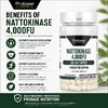 Probase Nutrition, Наттокиназа, 120 капсул (100 мг на капсулу)