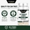 Probase Nutrition, Наттокиназа, 120 капсул (100 мг на капсулу)