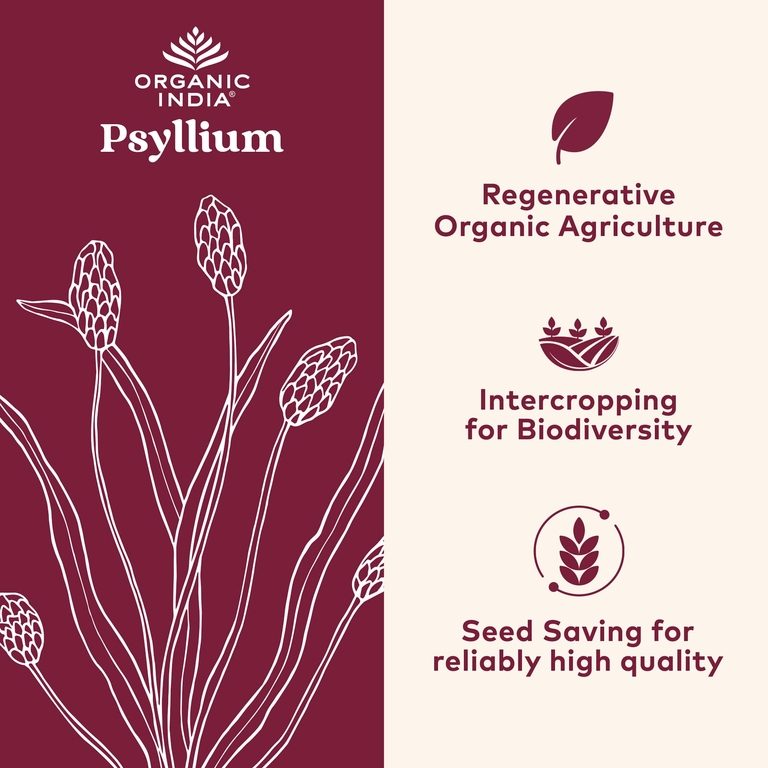 Organic India, Органический порошок подорожника, 170 г (6 унций)