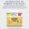 Solaray, Vegan Collagen Booster Powder, натуральная ваниль, 173 г (6,1 унции)