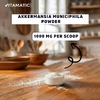 Vitamatic, Akkermansia Muciniphila, 100 г (3,5 унции)