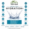 Terra Origin, Healthy Hydration +, лимонад, 30 пакетиков, по 5,8 г (0,20 унции)