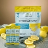 Terra Origin, Healthy Hydration +, лимонад, 30 пакетиков, по 5,8 г (0,20 унции)