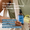 BodyBio, Remineralize, макро- и микроминералы, 118 мл (4 жидк. Унции)