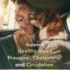 Nature's Bounty, Advanced Vital Heart, с коэнзимом Q10 и магнием, 60 капсул с быстрым высвобождением
