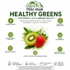 Terra Origin, Healthy Greens, киви и клубника, 15 пакетиков On the Go, 10,52 г (0,37 унции) каждый