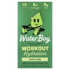 Waterboy, Workout Hydration, смесь для приготовления электролитического напитка, лимон и лайм, 10 пакетиков-стиков по 6,2 г (0,22 унции)