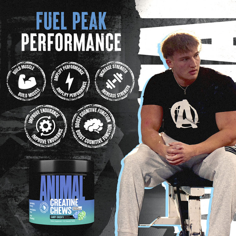 Animal, Creatine Chews, жевательная конфета, 120 жевательных таблеток