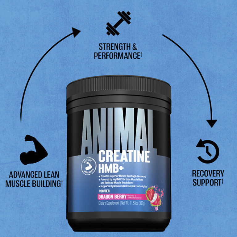 Animal, Creatine HMB+™ в порошке, со вкусом питахайи, 327 г (11,53 унции)