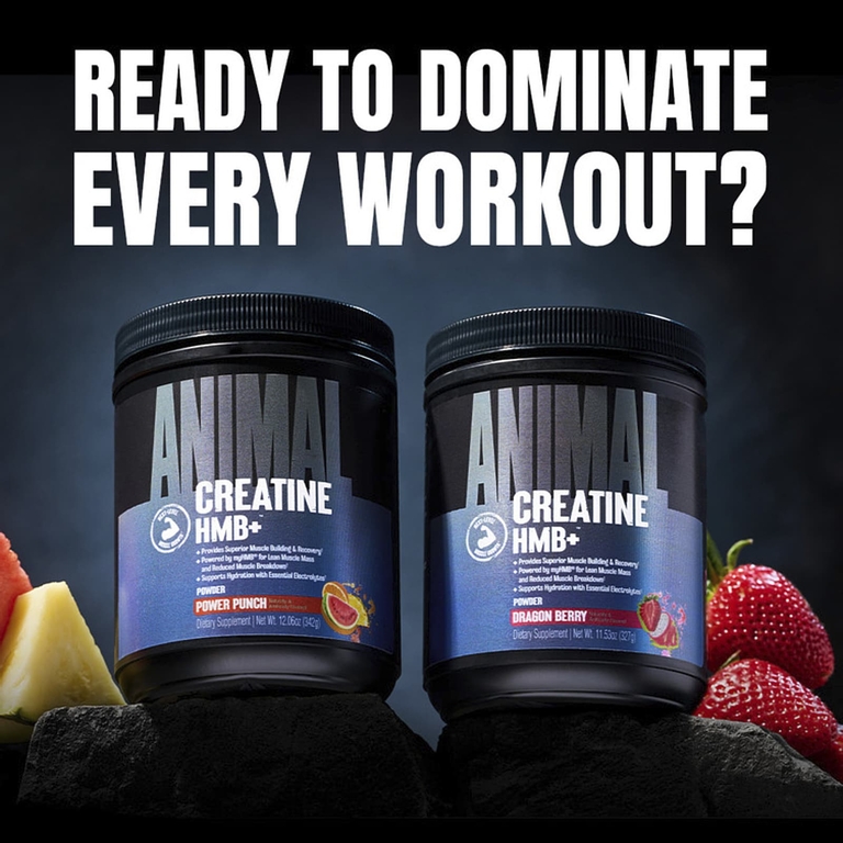 Animal, Creatine HMB+™, порошок, Power Punch, 342 г (12,06 унции)