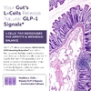 Triquetra Health, PX Therapeutics™, GLP-Pro™ GLP-1, пробиотики и постбиотики, 30 капсул