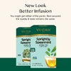 Vahdam Teas, Infusions, травяной чай, мята колосистая, без кофеина, 100 пакетиков для заваривания, 120 г (4,23 унции)